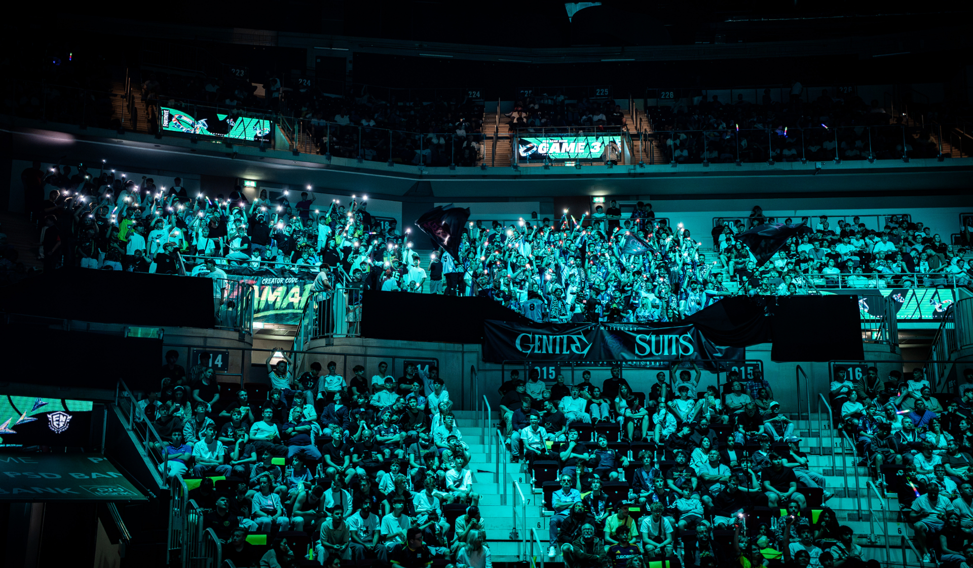 Arena crowd at esports event